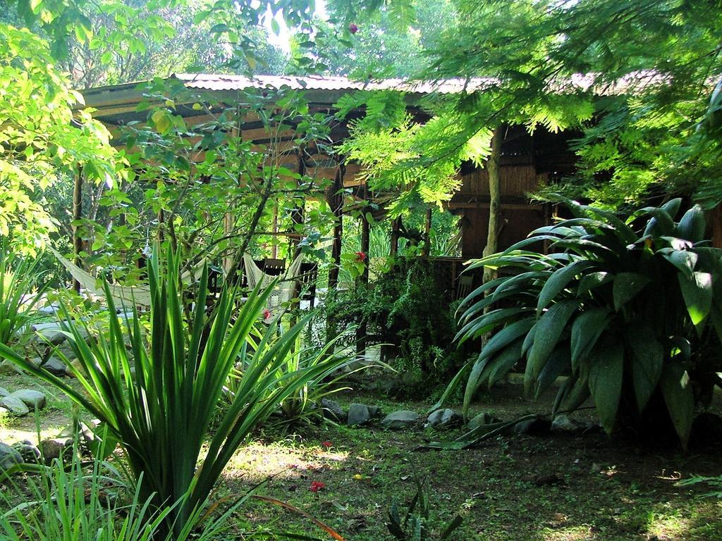 Los Mineros Guesthouse Dos Brazos Εξωτερικό φωτογραφία