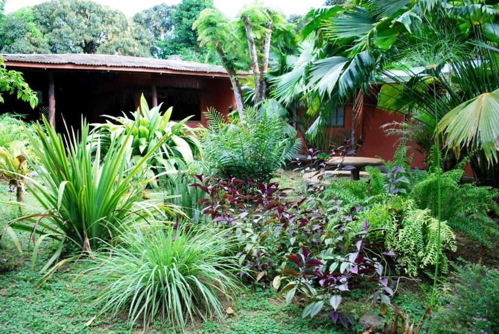 Los Mineros Guesthouse Dos Brazos Εξωτερικό φωτογραφία