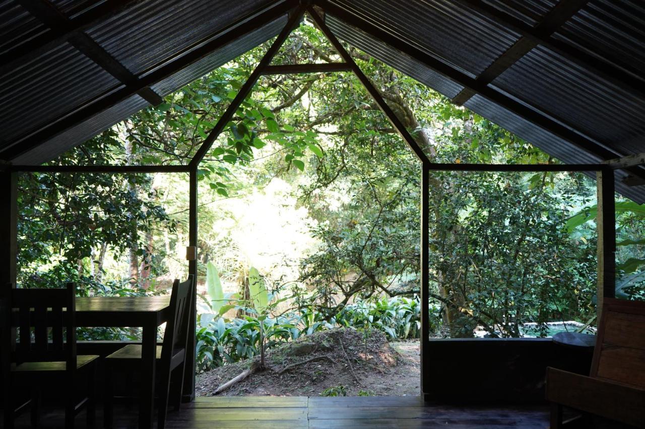 Los Mineros Guesthouse Dos Brazos Εξωτερικό φωτογραφία